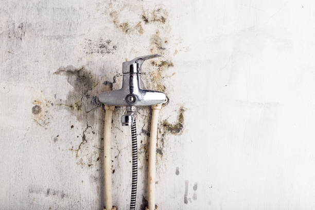 Water Damage Restoration in Hoopers Creek, NC