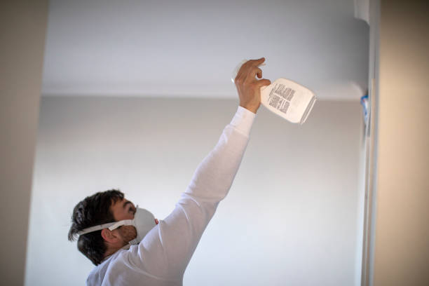 Office Mold Removal Services in Hoopers Creek, NC