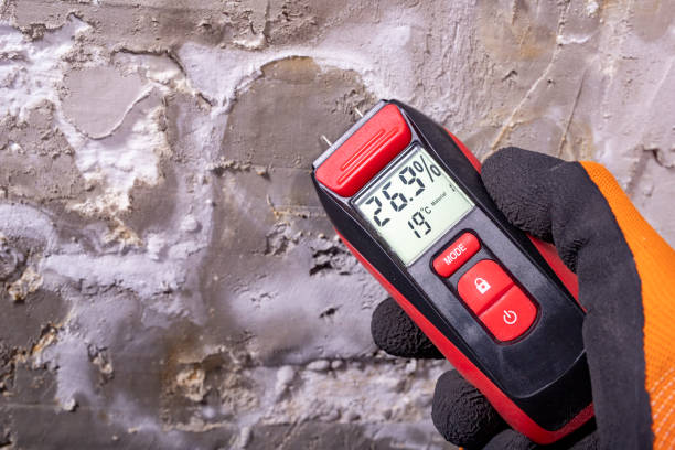 Best Fast Mold Removal  in Hoopers Creek, NC