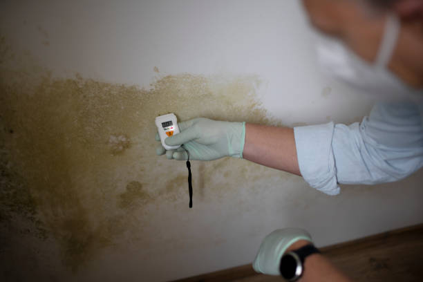 Best Mold Testing  in Hoopers Creek, NC